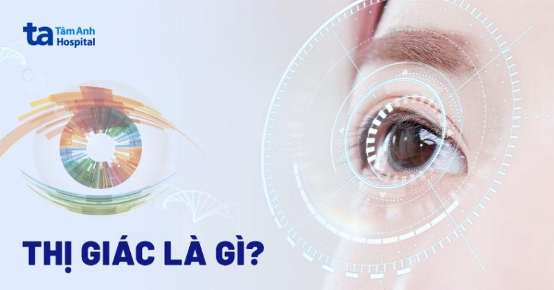 Hình ảnh minh họa các dạng thích ứng giác quan khác nhau của con người đối với môi trường xung quanh